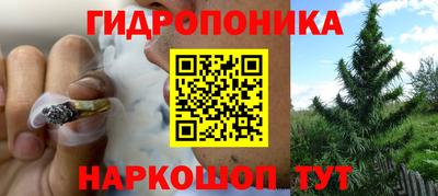 шишки Нарткала