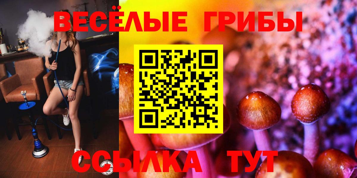 Галлюциногенные грибы Psilocybe  Галлюциногенные грибы Magic Shrooms  Щёлково  Вход с VPN 